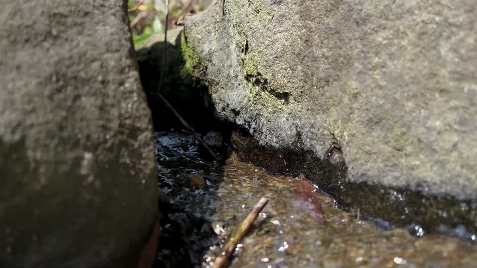 Streams valley nature