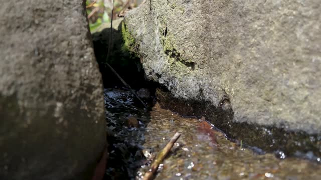 Streams valley nature
