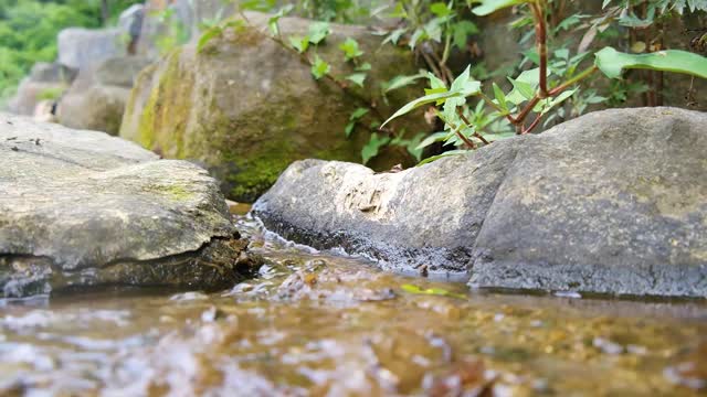 Valley streams nature