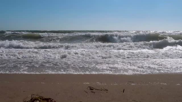 Ocean beach sea