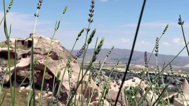 Cappadocia uchisar milestone