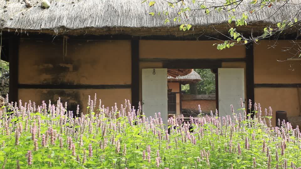 Folk village yongin traditional
