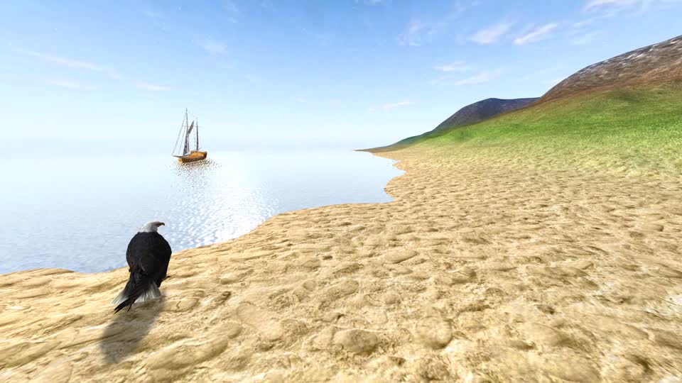 Landscape sea bird