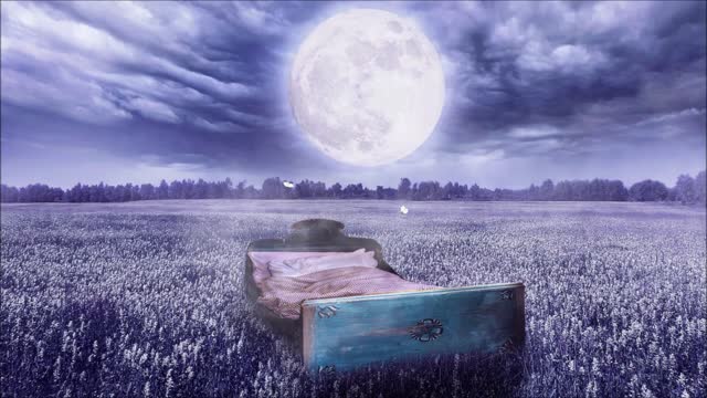 Moon bed night