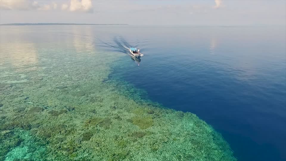 Sea sulawesi ocean
