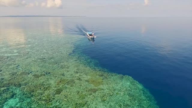 Sea sulawesi ocean