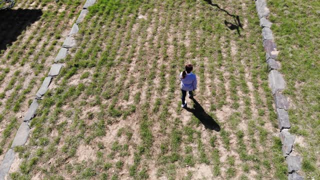 Temple korea drone view