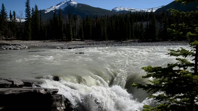 Jasper canada national