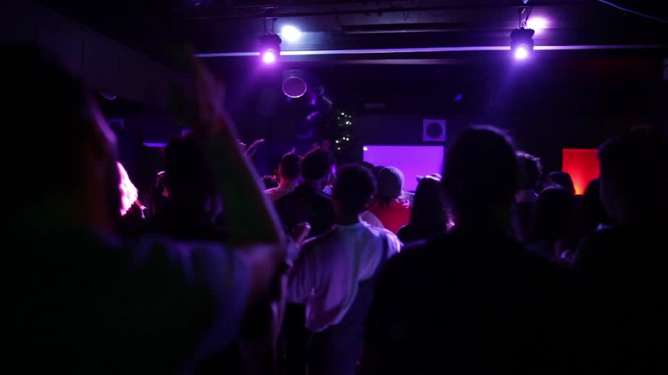 Crowd dancing nightclub