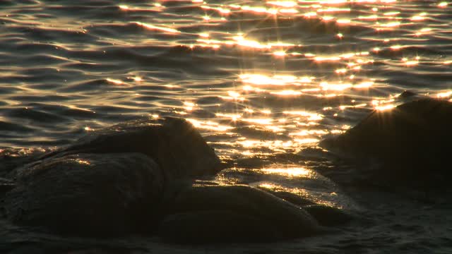 Sea dawn beach