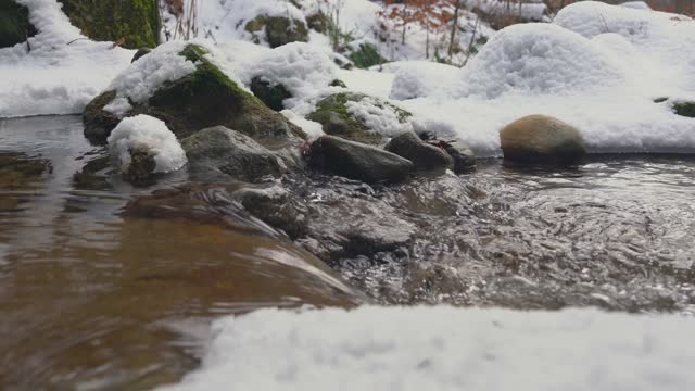 Bach snow winter
