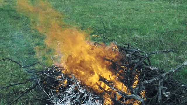 Fire fire slow motion branches burning