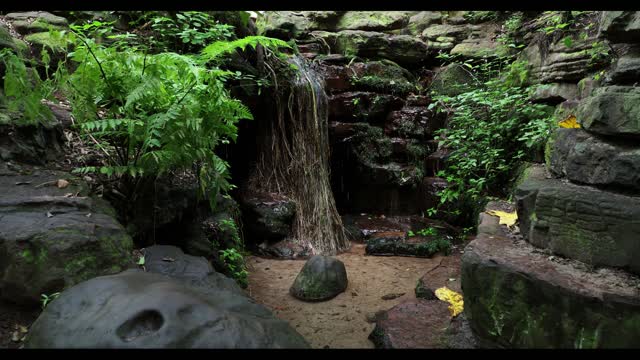 Small waterfall shade trees