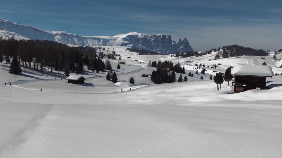Cross-country ski run cross-country skiing snow