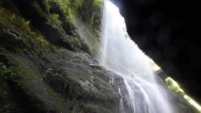 Los tilos san andrés y sauces la palma