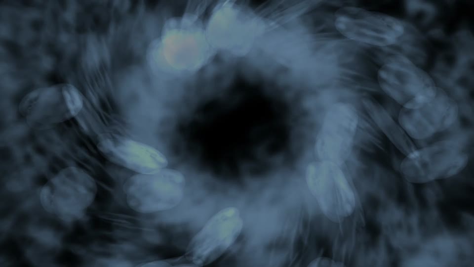 Crystals move rotation