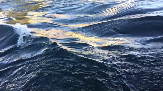 Water river nature