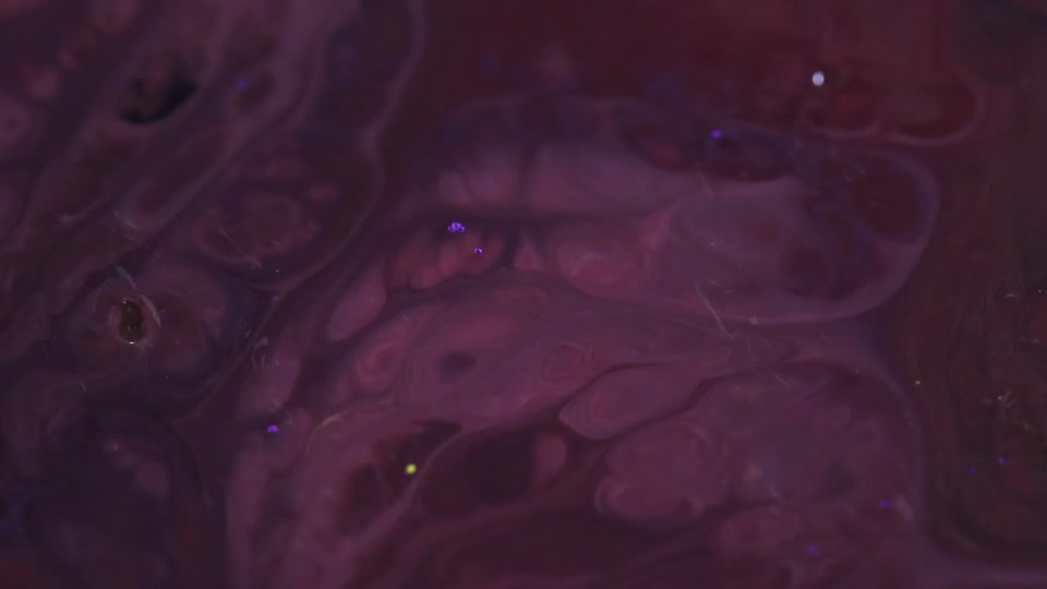 Acrylics macro oil
