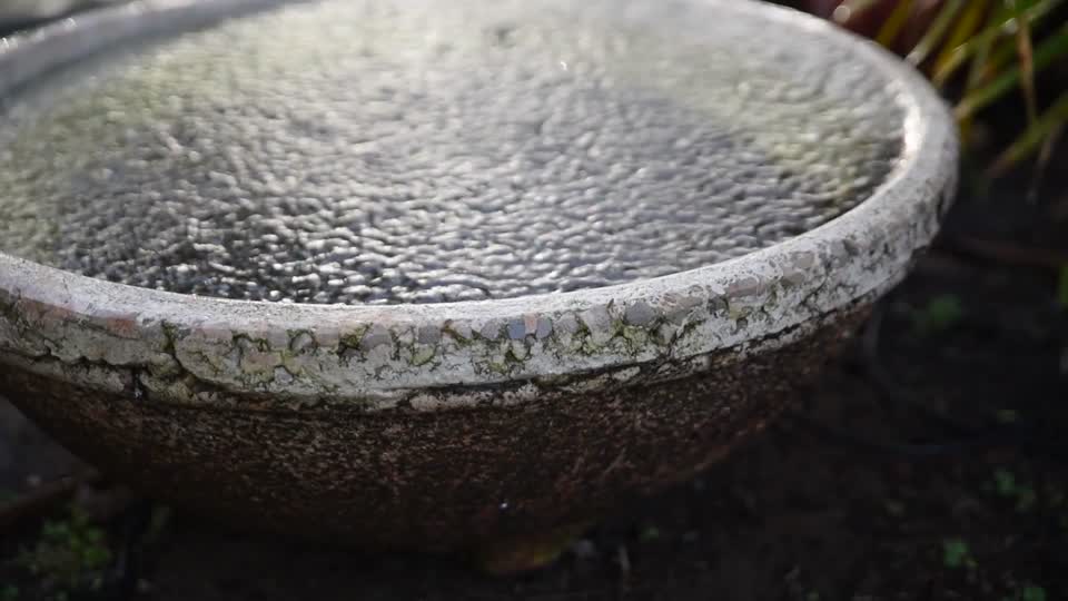 Water weather drop