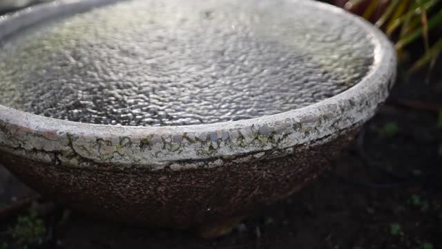 Water weather drop