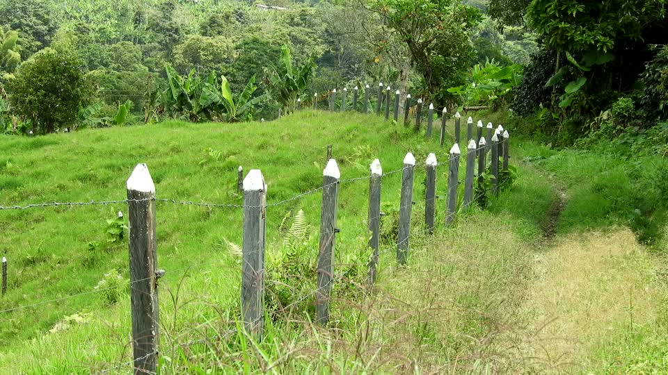 Landscape path colombia