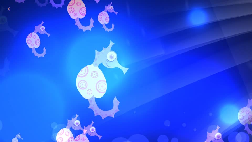 Motion graphic animated