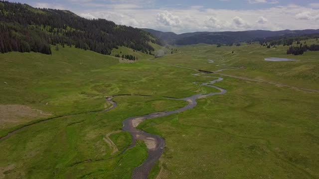 Colorado grass train