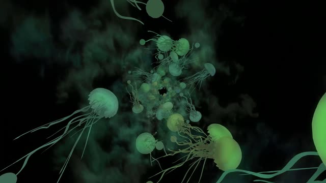 Jellyfish sea green