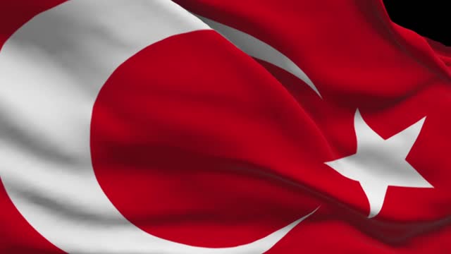 Flag 3d model green screen
