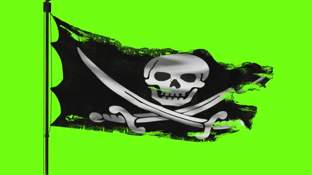 Flag 3d model green screen