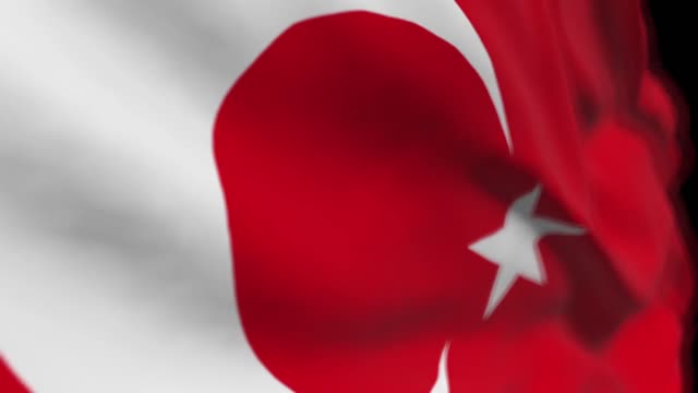 Flag 3d model green screen