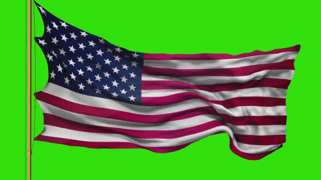 Flag 3d model green screen