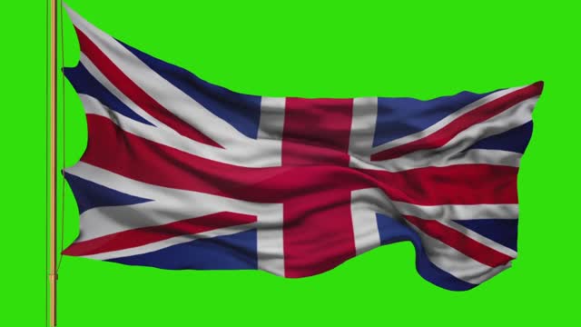 Flag 3d model green screen