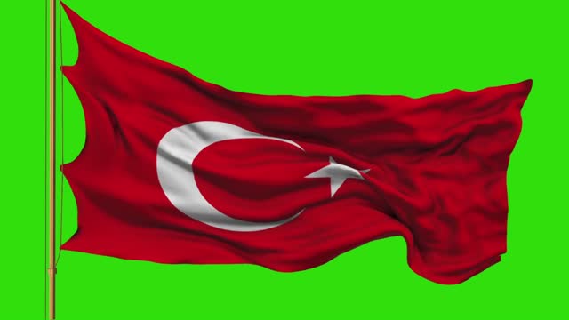 Flag 3d model green screen