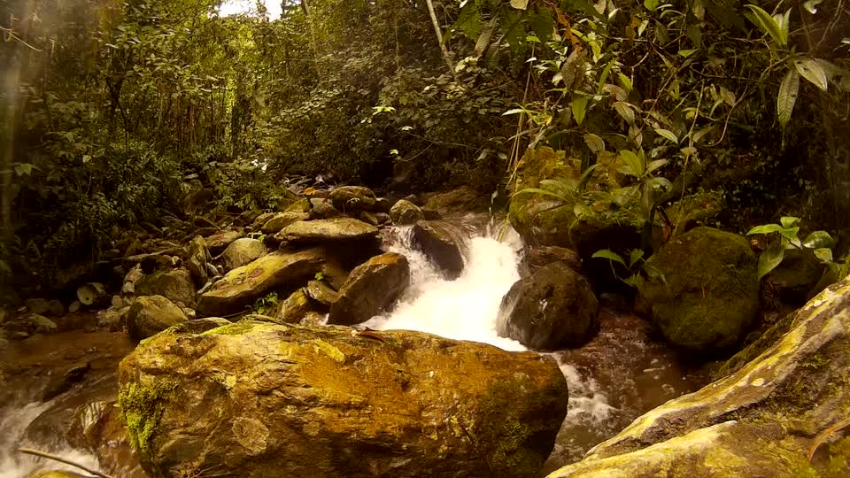 Nature water stone