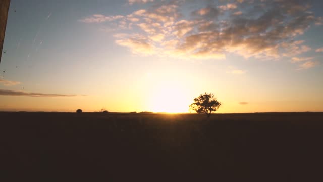 Sunset spiderweb nature