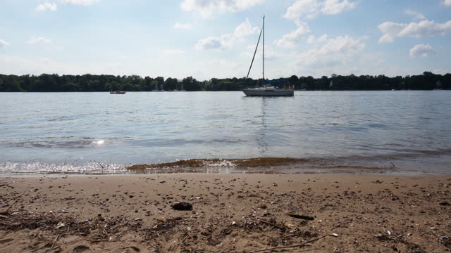 Water riverbank summer