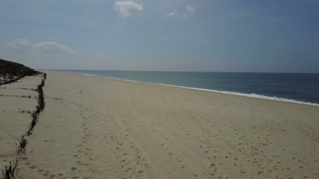Beach horizon sea
