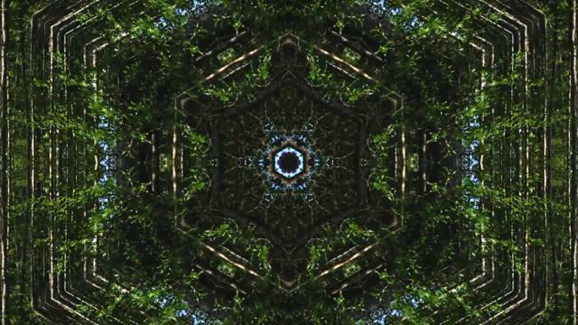 Backgrounds motion design