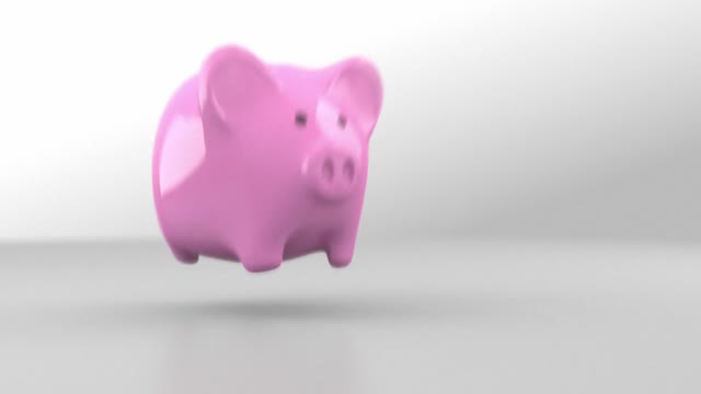 Piggy bank money