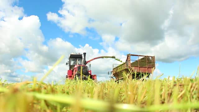 Field cleaning feed