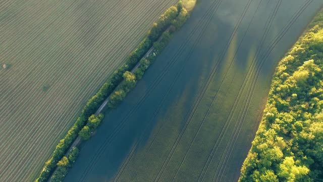 Dji drone field