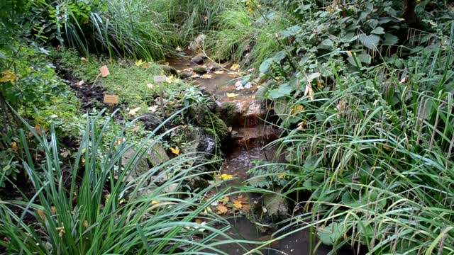 Stream water noise nature sounds
