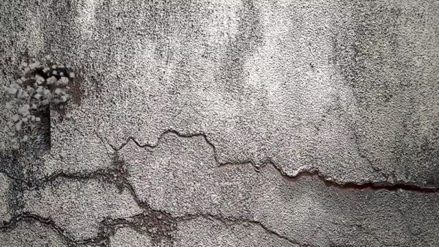 Footage animation text