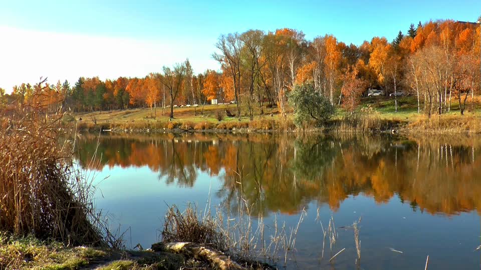 Lake autumn forest