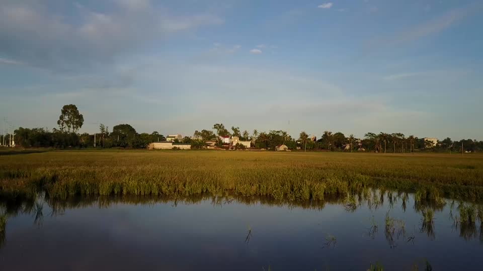 Field ride viet nam