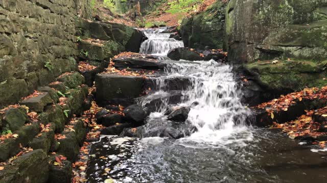 Stream water nature