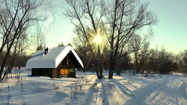 Winter the cabin in the woods nature
