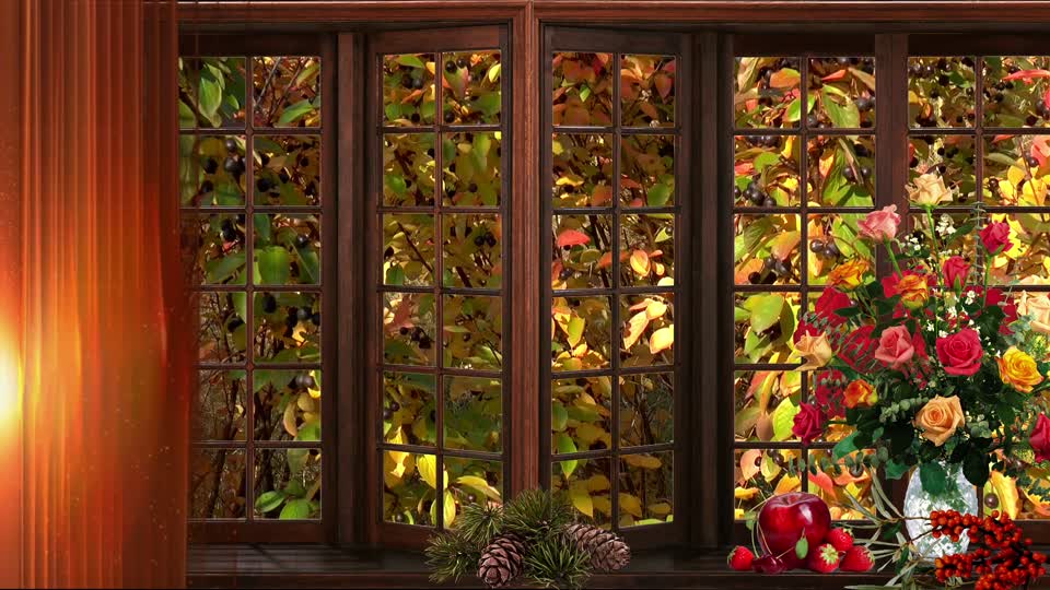 Autumn window flowers
