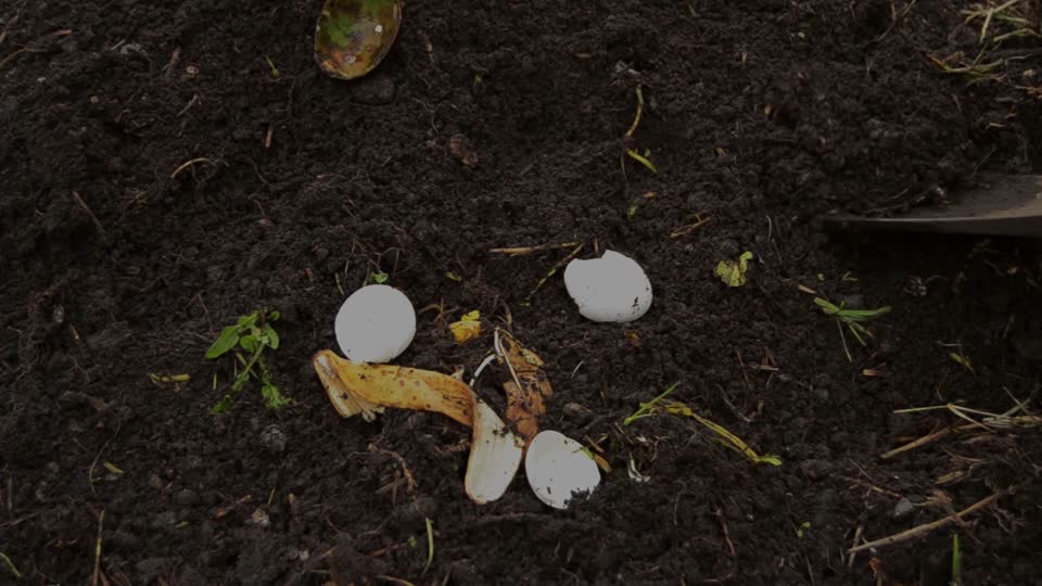 Compost earth fertilizer